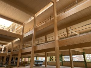 CLT wood panel 